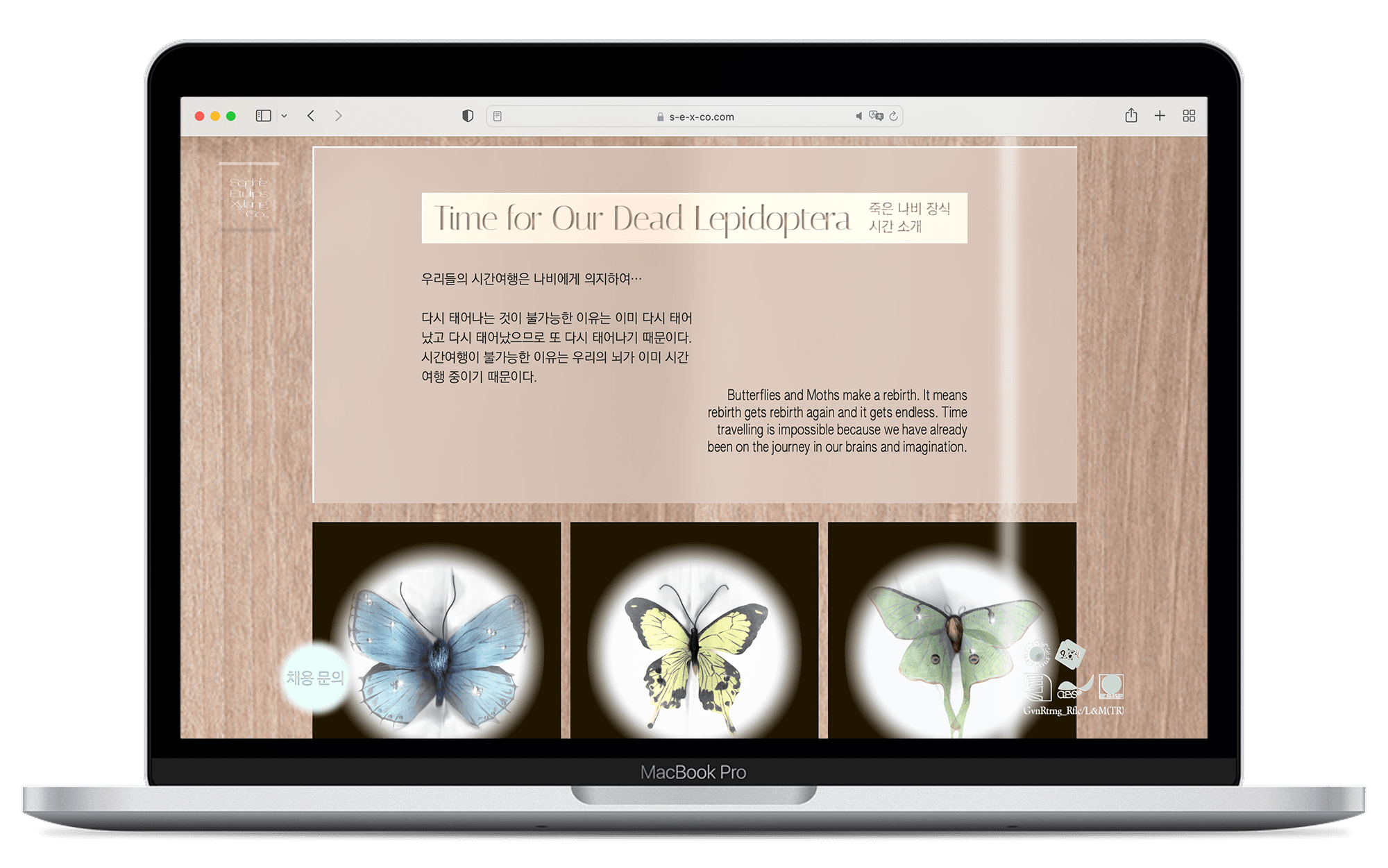 73505312-6e58-4dd3-9011-ac1bab0f1696