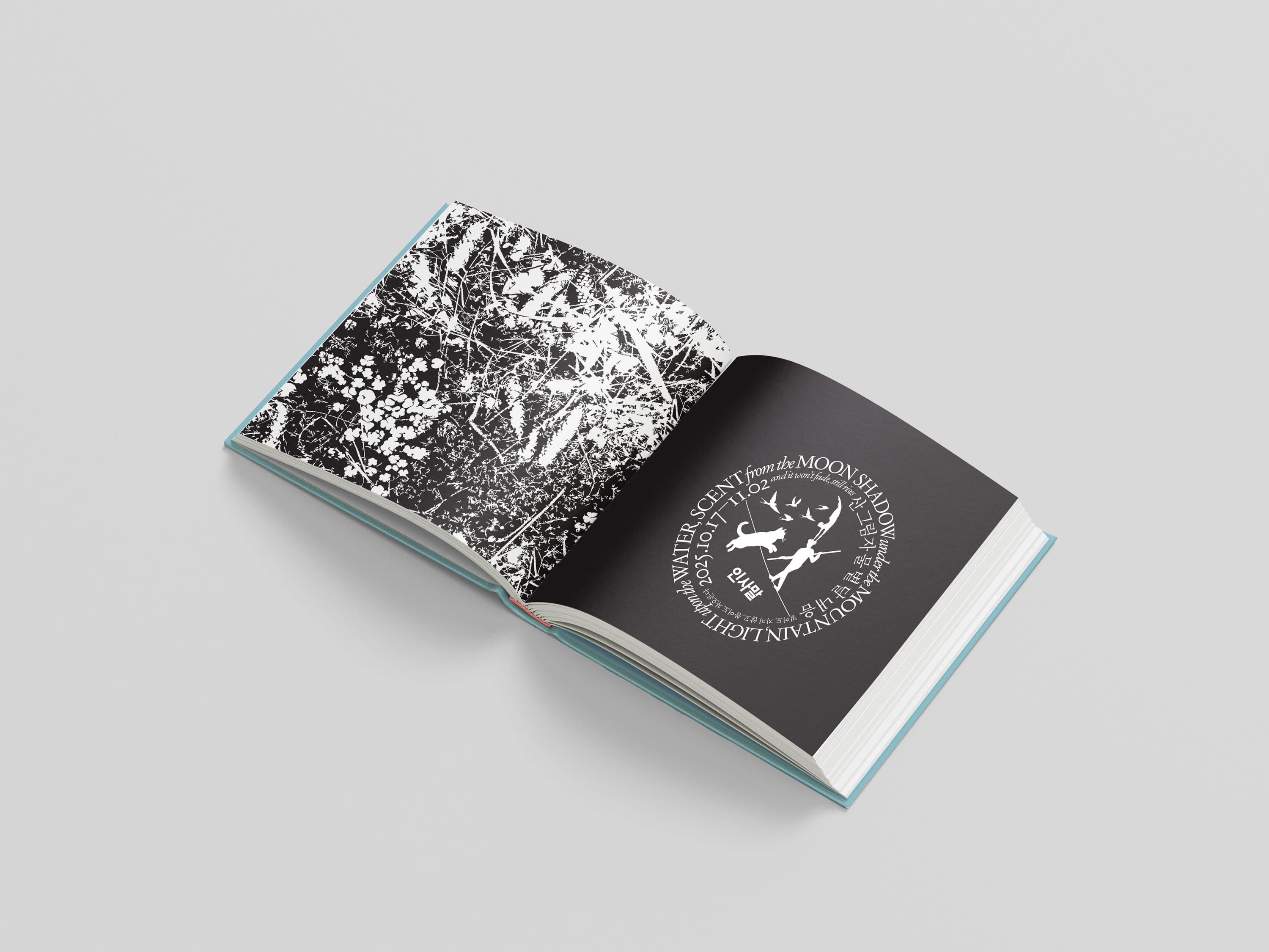 98c14d38-b92c-42d0-9628-4bc7a2960ecf