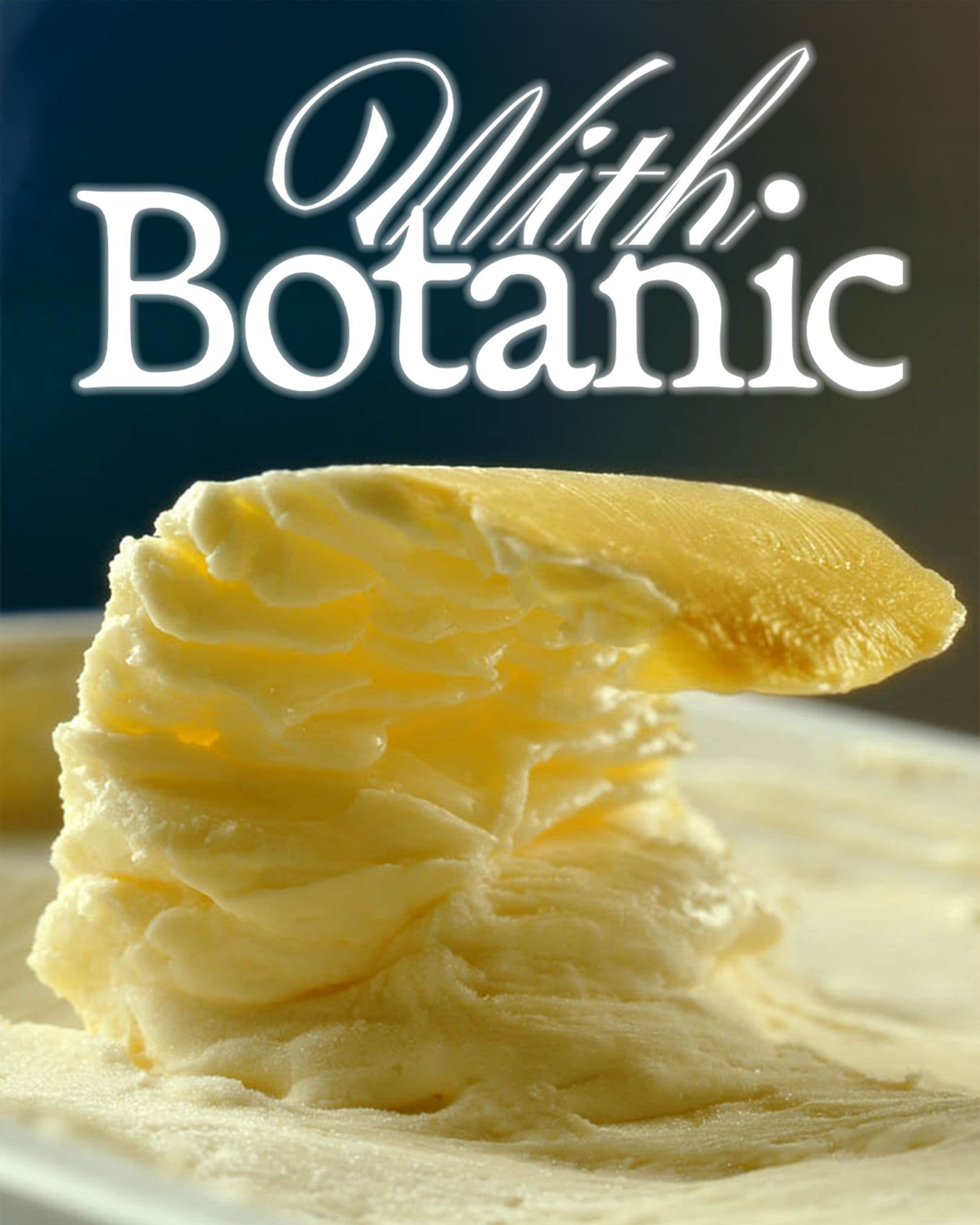 93ae23a8-0bea-4358-ab0f-83c2a2ee0a40