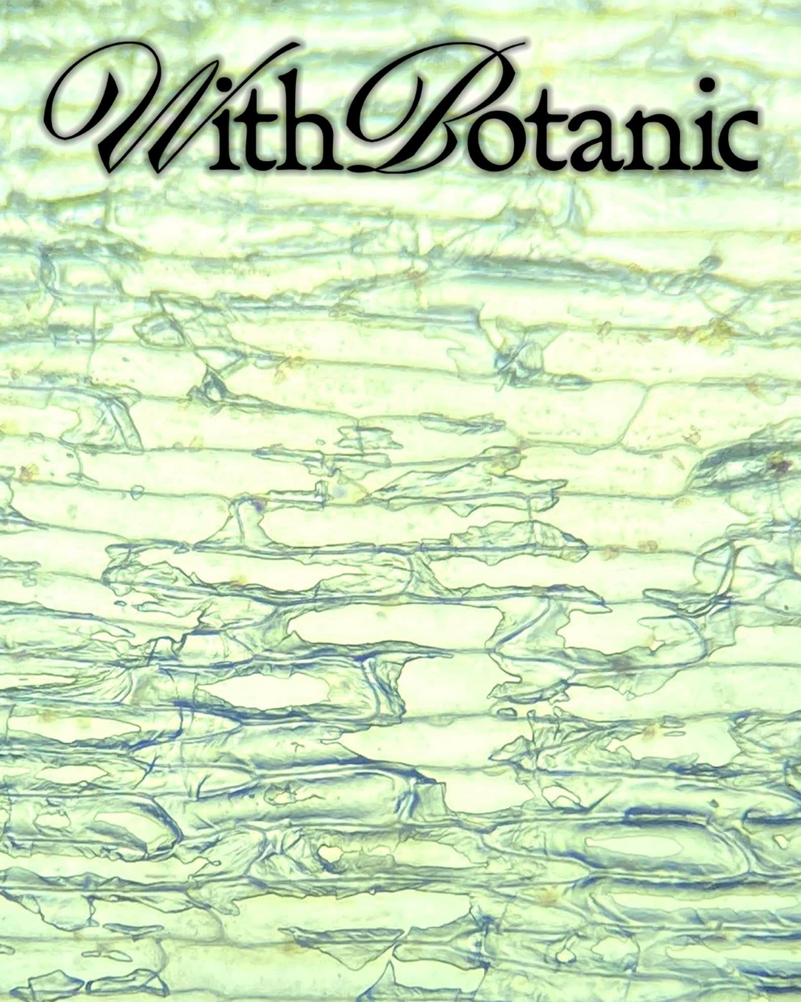 93ae23a8-0bea-4358-ab0f-83c2a2ee0a40