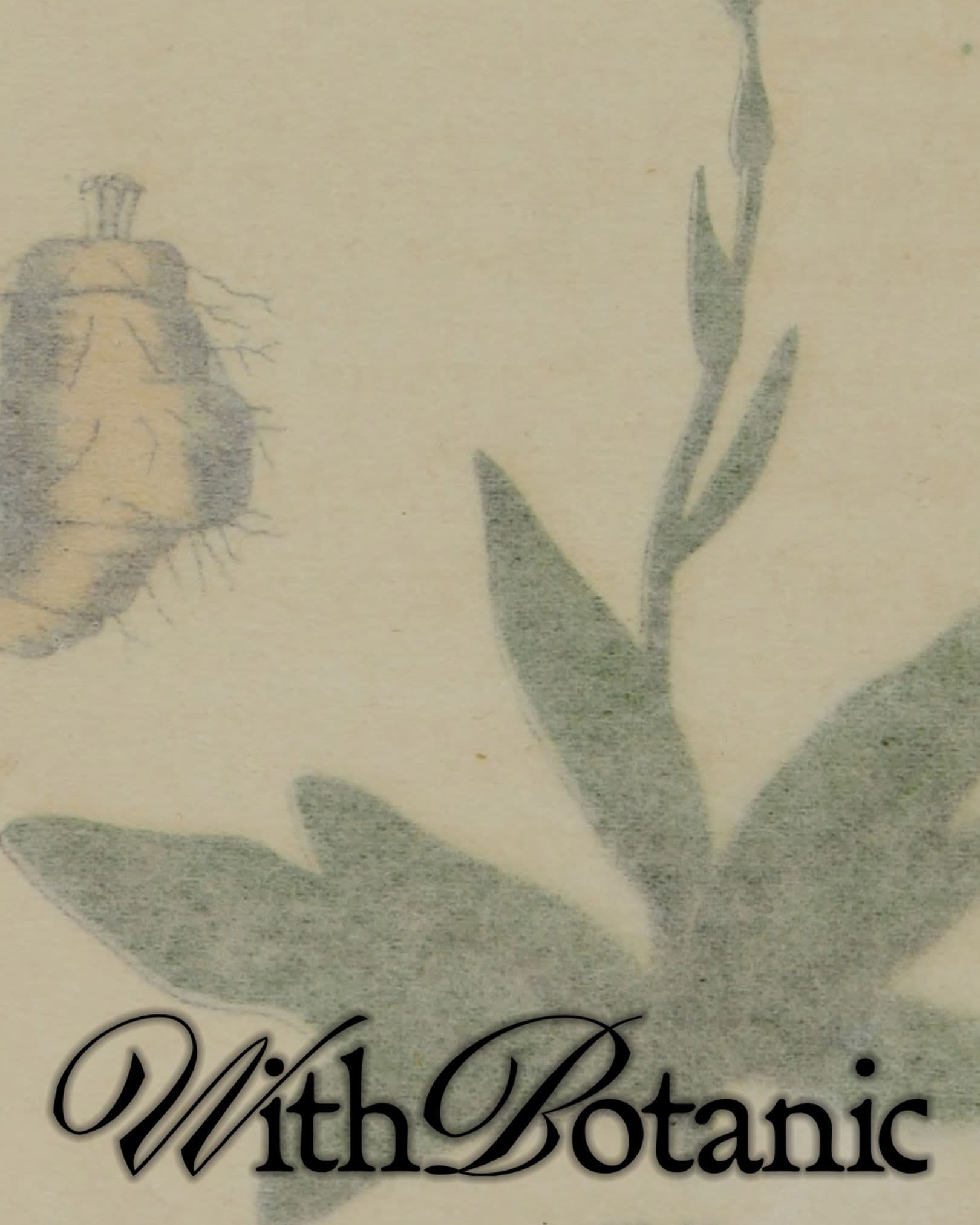 93ae23a8-0bea-4358-ab0f-83c2a2ee0a40